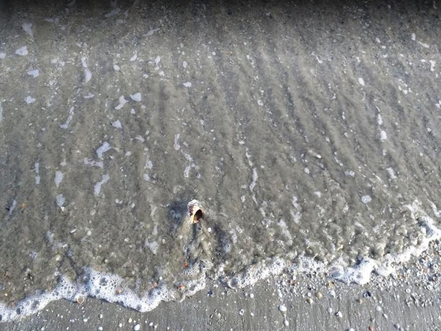 Sun Studio Mamaia Năvodari Zewnętrze zdjęcie